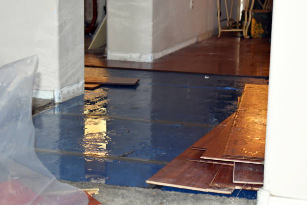 Professional Water Damage Restoration technician working in Worthington, KY